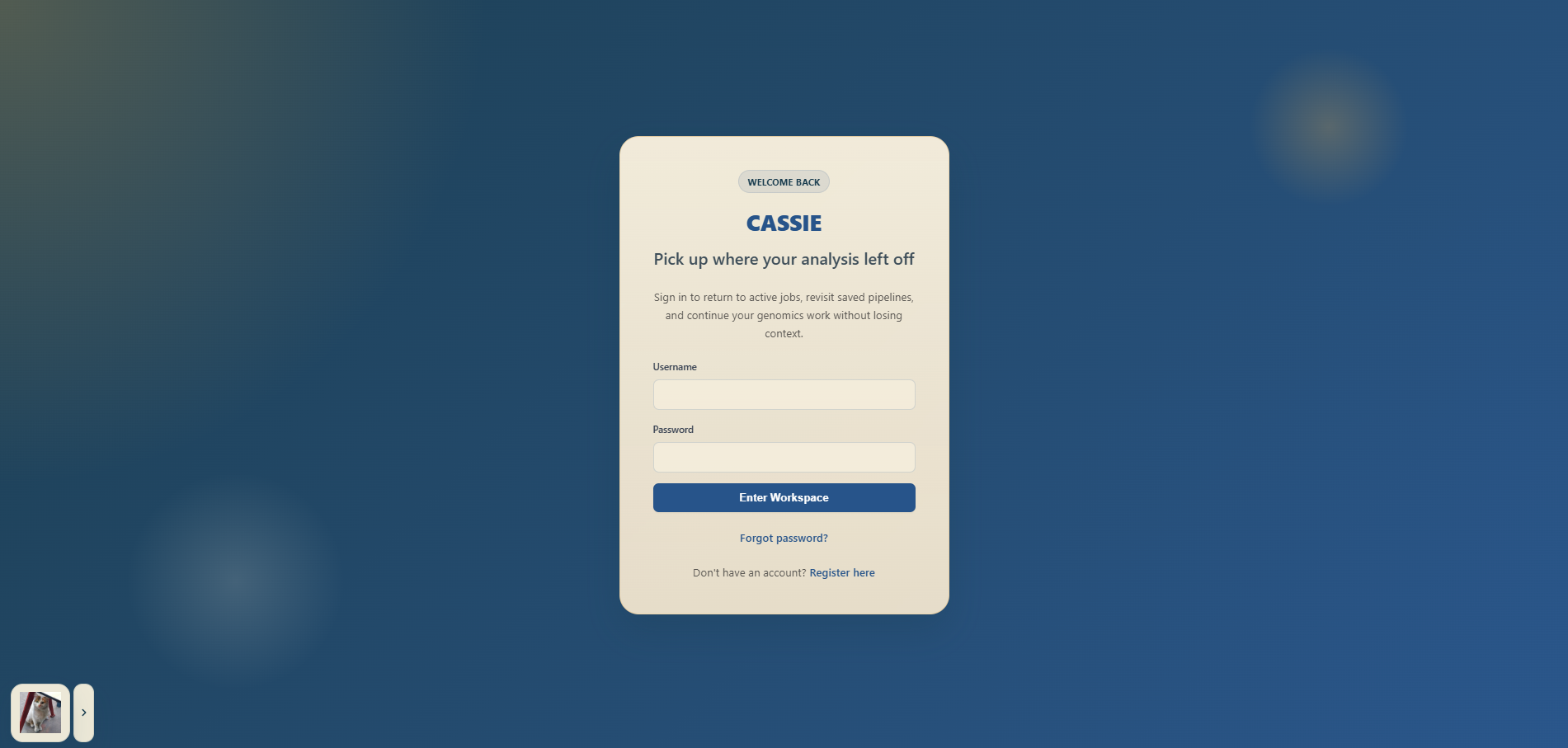 CASSIE login page