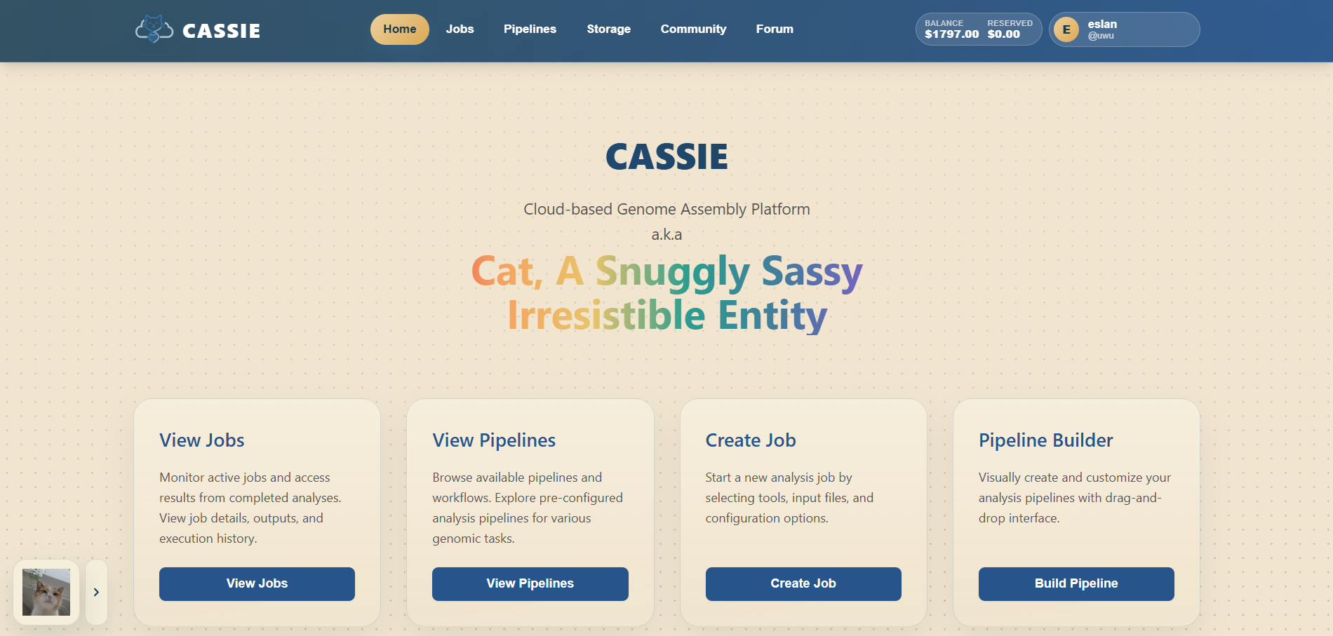 CASSIE interface overview