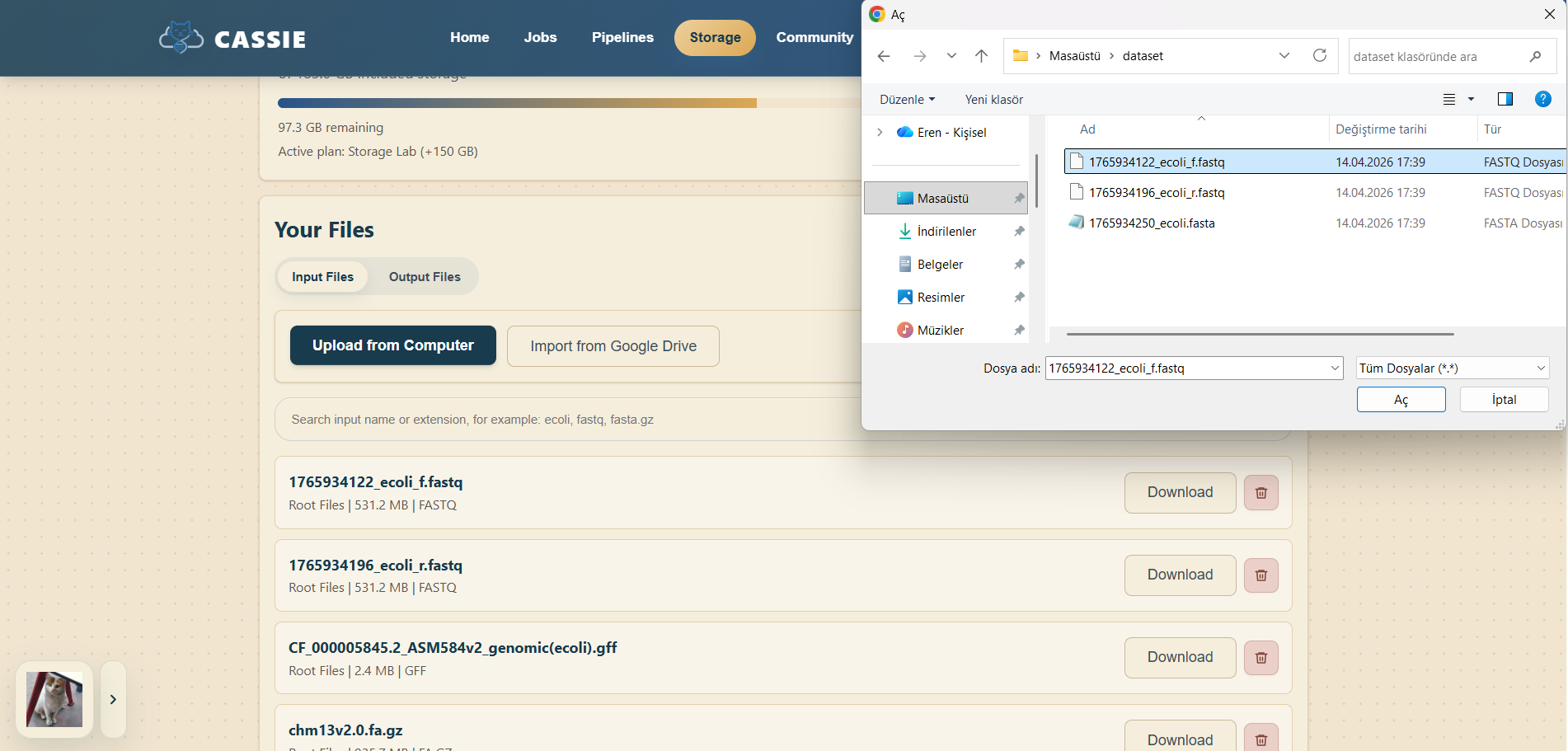 Uploading files in CASSIE storage